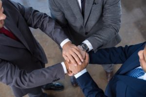 VIP Member of a Wealth Management Team: Your Directed Trustee
